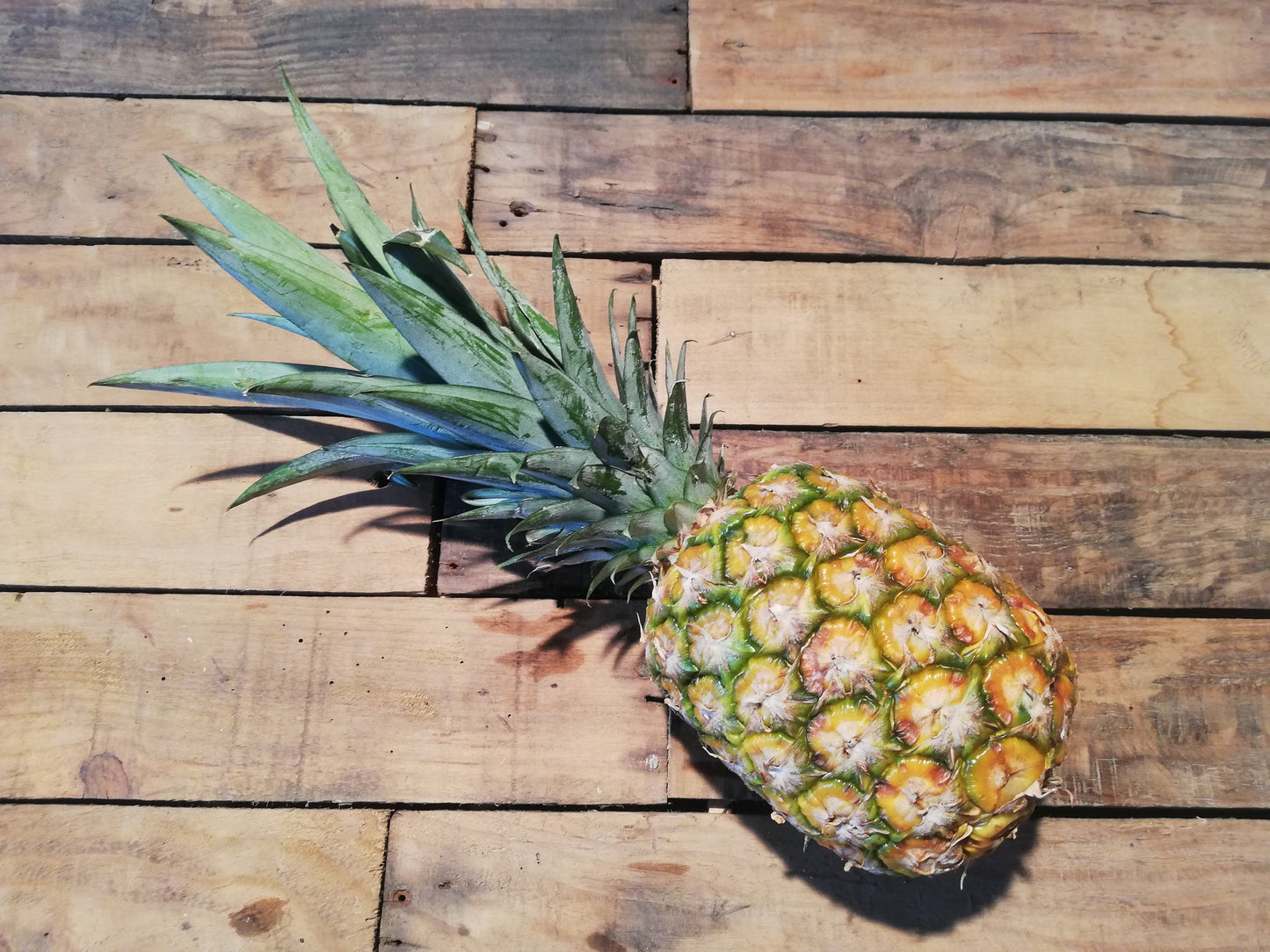 Ananas (pièce)