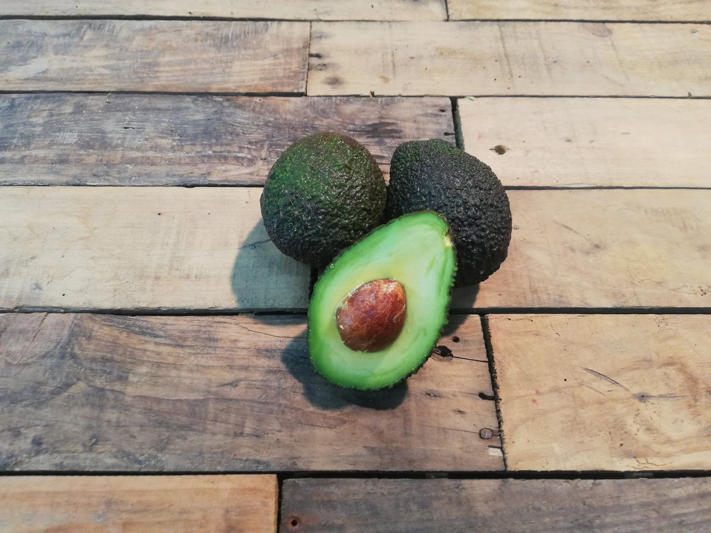 Avocat (pièce)