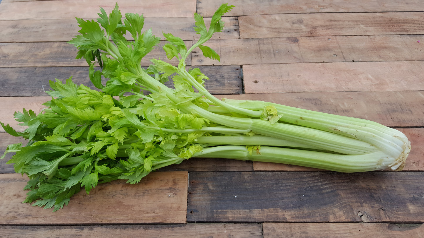 Céleri Branche (kg)