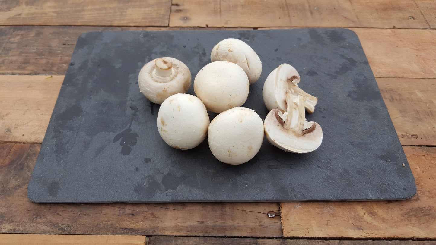 Champignon Blanc extra (500g)