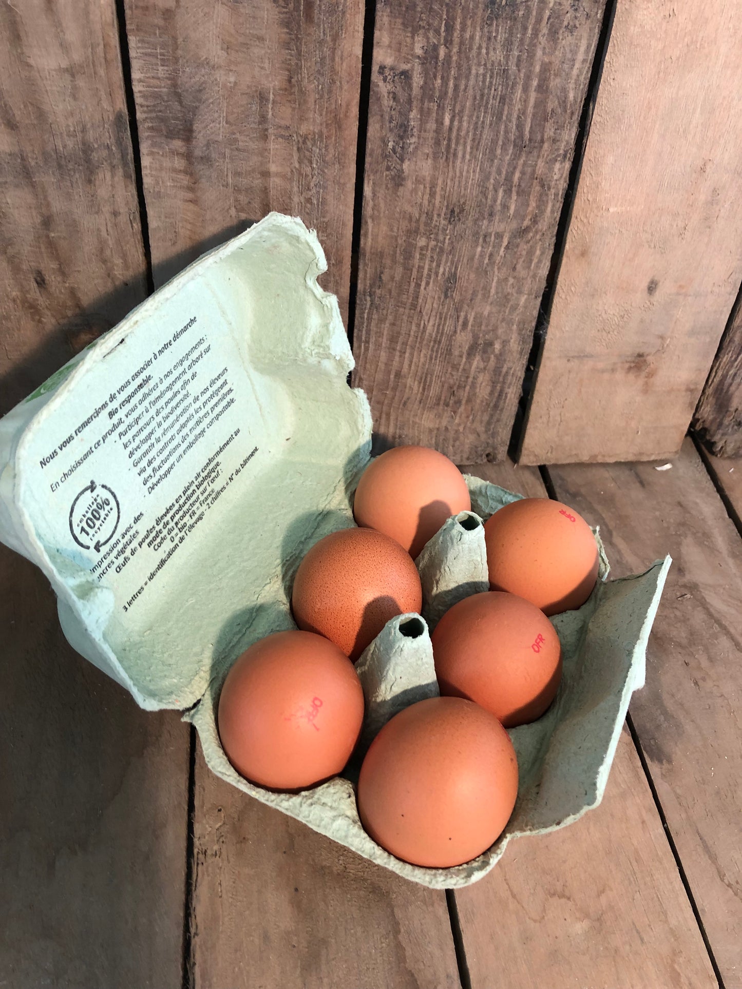 Oeufs BIO x6