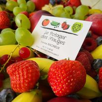 Corbeille de fruits (10 parts)