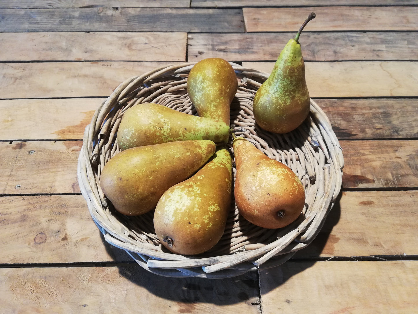 Poire Conférence (500g)