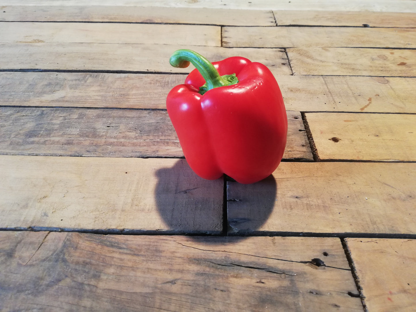 Poivron rouge (500g)