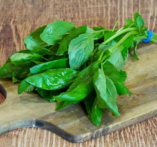 Basilic (botte)
