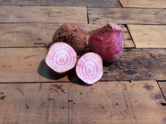 Betterave Chioggia (kg)