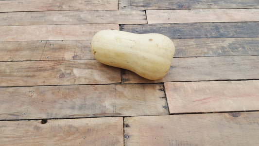 Butternut (pièce)