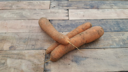 Carottes non lavées (5kg)