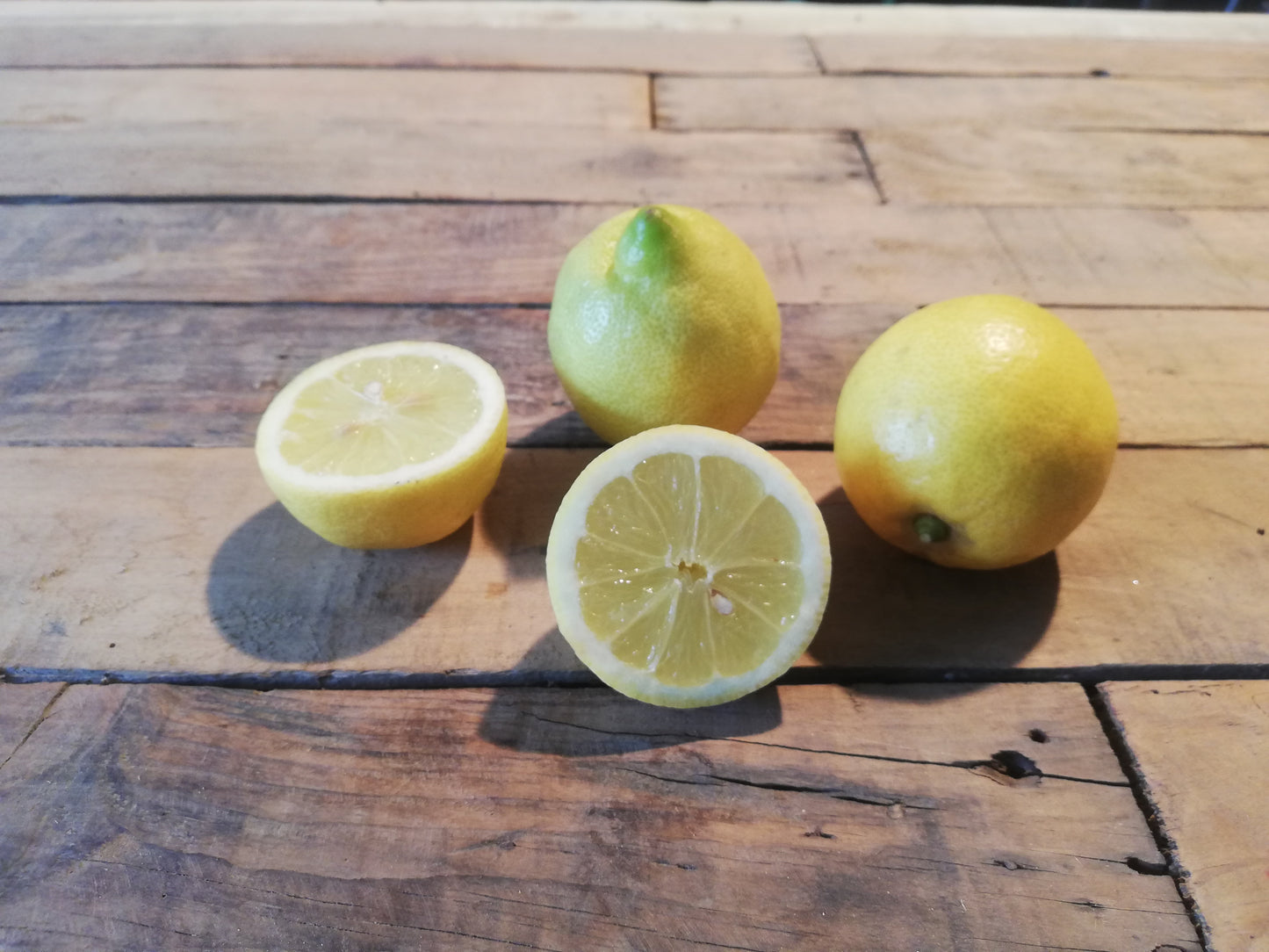 Citron jaune (500g)