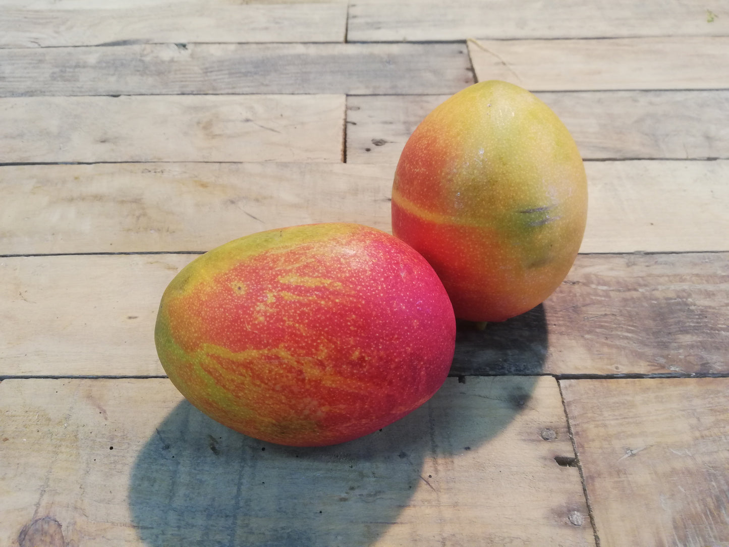 Mangue (pièce)