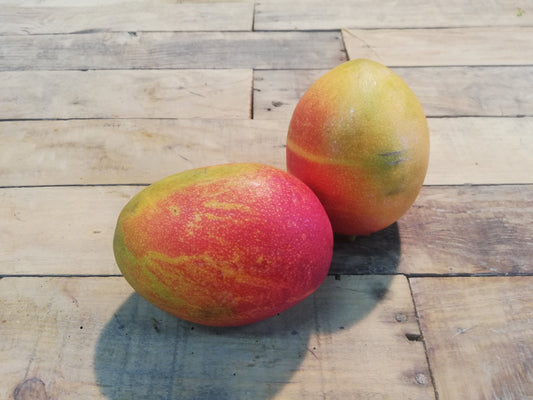 Mangue (pièce)