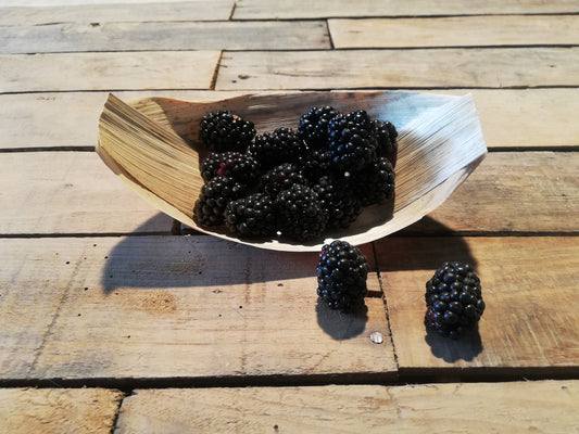 Mûre (barquette 125g)