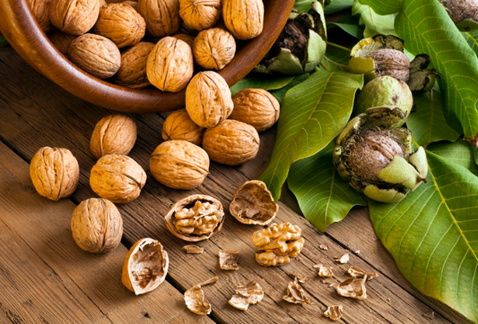 Noix (500g)