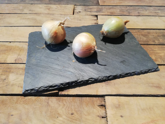 Oignon jaune (500g)