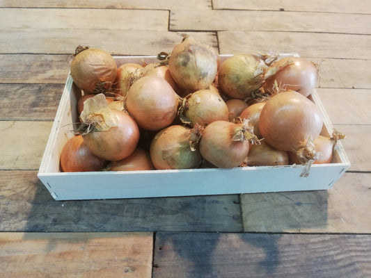 Oignon 5kgs