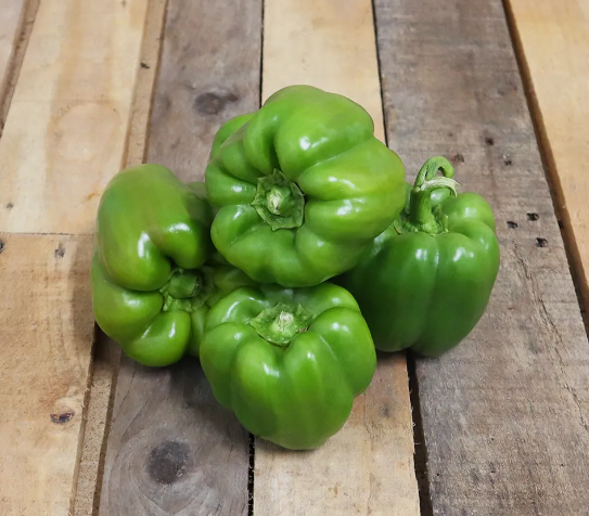 Poivron Vert (500g)