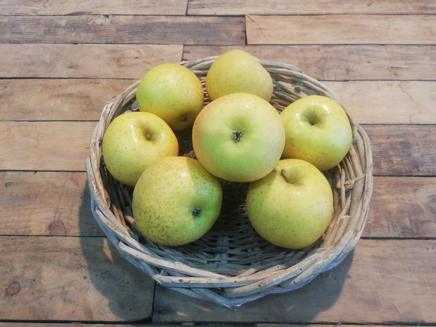 Pommes Belchard (kg)