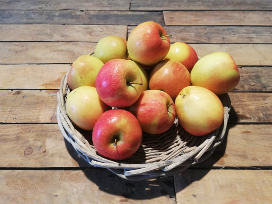 Pommes Elstar (kg)