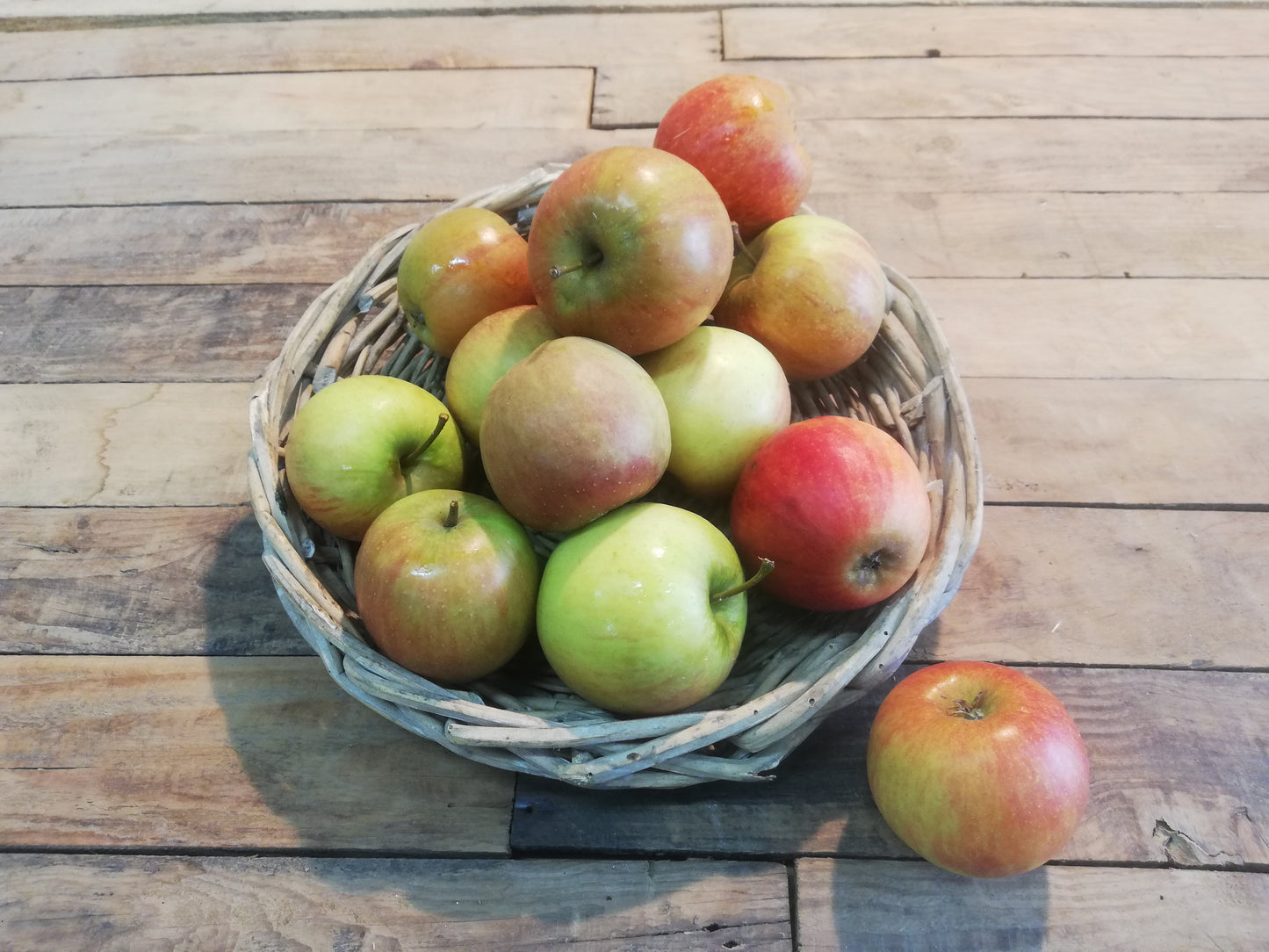 Pommes Rubinette (kg)