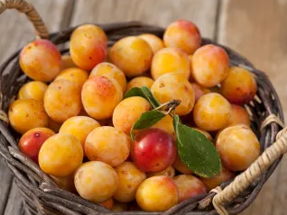 Prunes Mirabelle (500g)