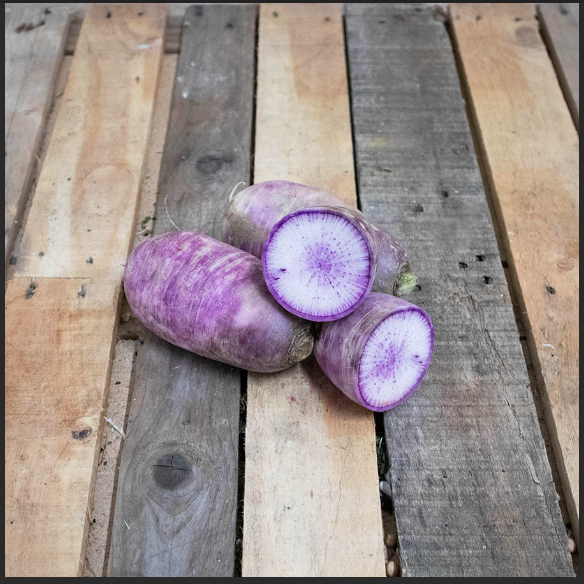 Radis blue meat (500g)