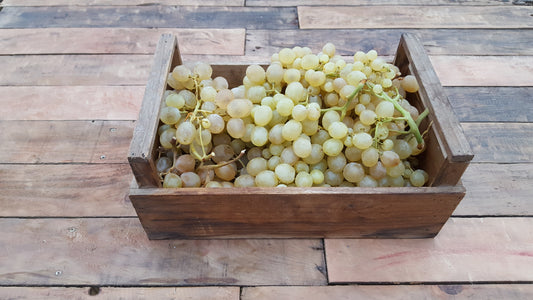Raisin blanc ALEDO (500g)