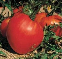 Tomate Coeur de boeuf (500g)