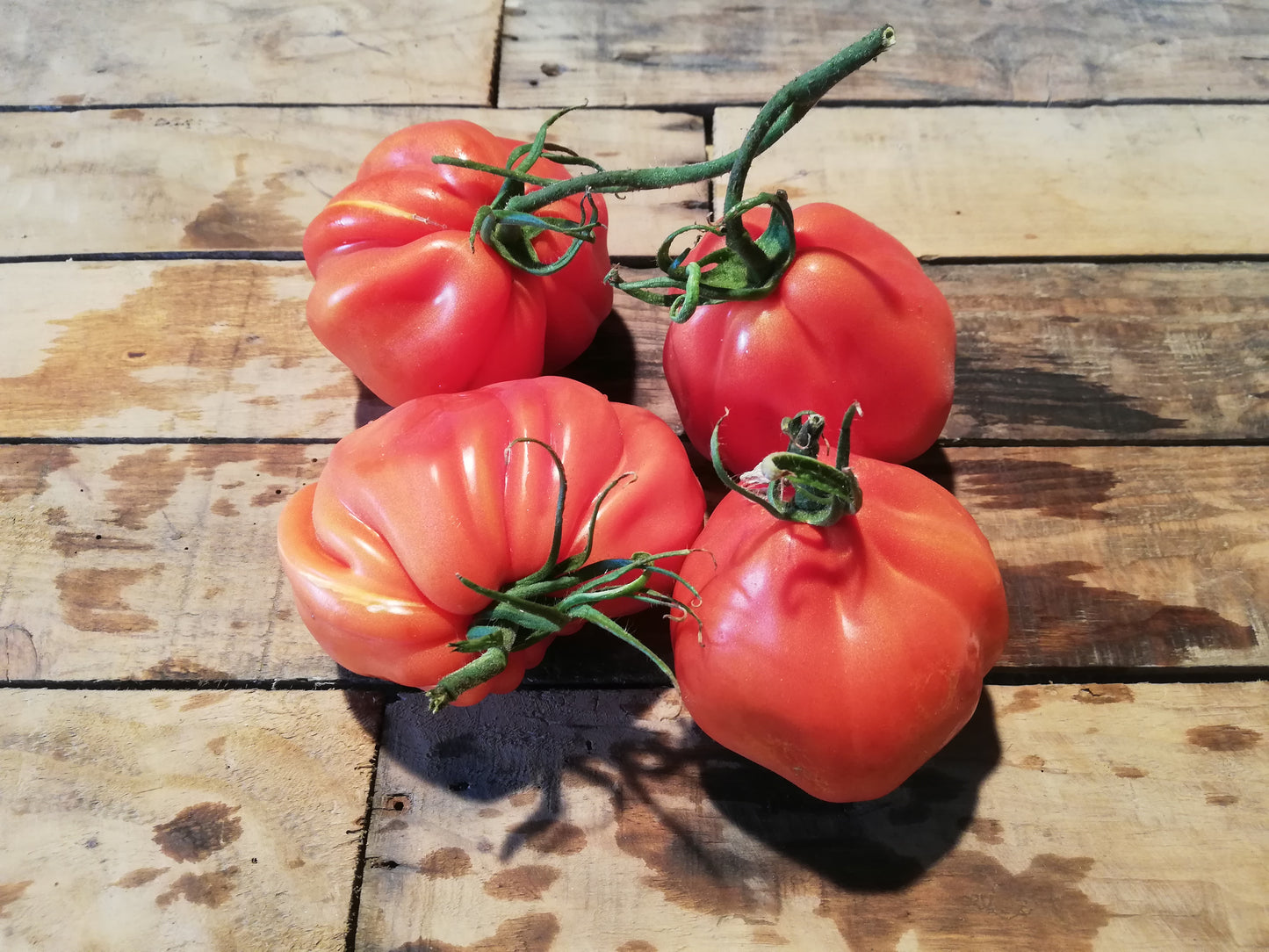 Tomate Coeur de boeuf (500g)