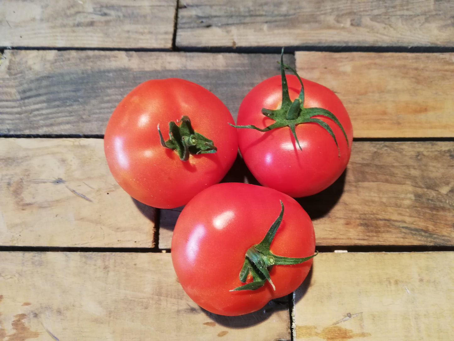 Tomates rondes (500g)