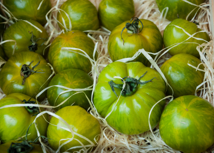 Tomates vertes de Provence pleine terre (500g)
